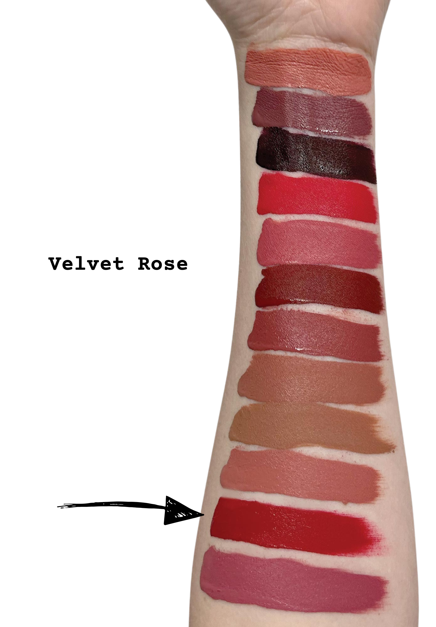 Velvet Rose