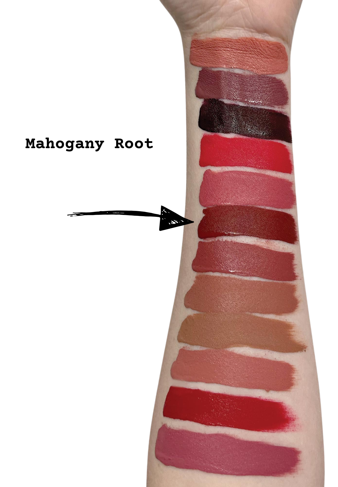 Mahogany Root